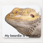 My beardie is weirdie! use pad