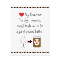 My Beauceron Loves Peanut Butter Postcard