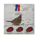 My_Beauty_Female_Cardinal_With_Me_A magnets by redogpeters My_Beauty_Female_Cardinal_With_Me_A magnets