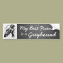 My Best Friend: Greyhound