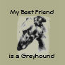 My Best Friend Is A Greyhound