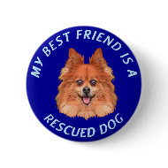 My Best Friend (Pomeranian) button