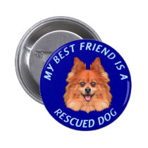My Best Friend (Pomeranian) buttons