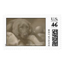 My Best Friend postage by KCWells My Best Friend postage