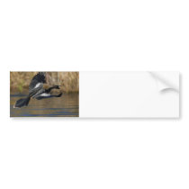 My Best Side Bumper Sticker