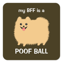My BFF is a Poof Ball (Fluffy Pomeranian) sticker