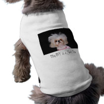 My BFF is a Shih Tzu pet clothing