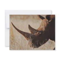 My Big Horns invitations