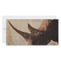 My Big Horns photo cards