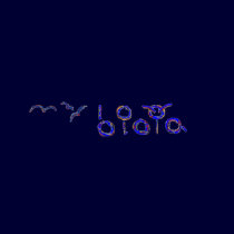 My Biota t-shirts