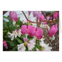 My Bleeding Heart cards