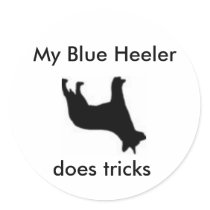 My Blue Heeler does tricks stickers