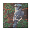 My Blue Jay magnets