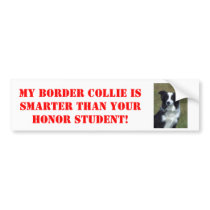 My Border Collie is Smarter Than Your Honor... Bumper Stickers