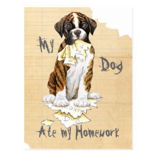 The dog ate my homework cast picture