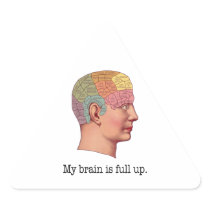 My Brain is Full Up Triangle Stickers
