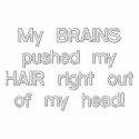 My BRAINS pushed my HAIR... men's pull over embroidered shirts