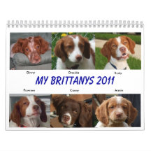 My Brittanys 2011 Wall Calendar