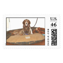 My buddy and me postage stamp