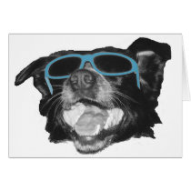My Buddy  cards