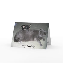 my buddy cards by grlngneer my buddy cards