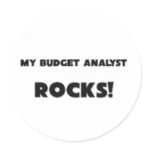 MY Budget Analyst ROCKS! stickers