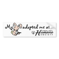 My bunny adopted me bumper stickers