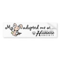 My bunny adopted me bumper stickers