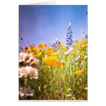 My California 5 Greeting Cards