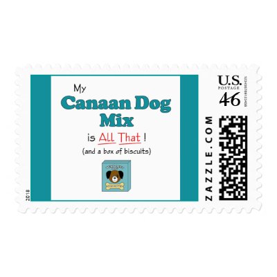 Canaan Dog Mix