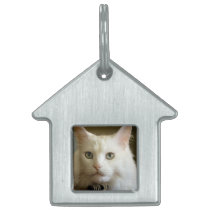 My Cat 2 Pet Tag