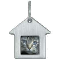 My Cat 3 Pet Tag