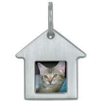 My Cat 3 Pet Tag