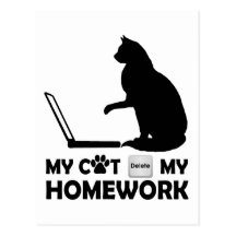 My cat deleted my homework postcard