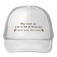 My cat is in charge, I just pay the bills Mesh Hats