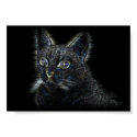 My Cat posters