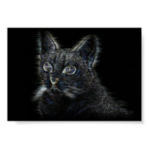 My Cat posters