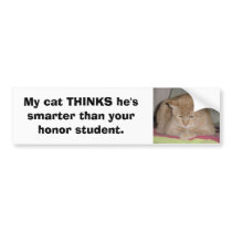 My cat THINKS he's smarter than your honor... bumper stickers by elaineinalaska My cat THINKS he's smarter than your honor... bumper stickers
