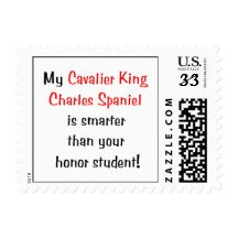 My Cavalier King Charles Spaniel is smarter.. Stamp