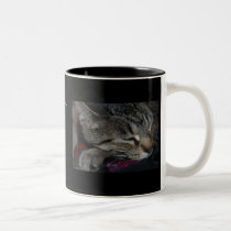 My Children All Have Paws! Cat Mug mugs
