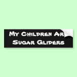 My Children Are Sugar Gliders bumper stickers