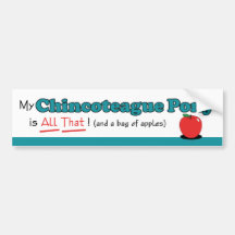 My Chincoteague Pony is All That! Funny Pony Bumper Stickers
