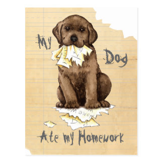Will my dog eat my homework image