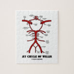 My Circle Of Willis (Anatomical) Puzzles