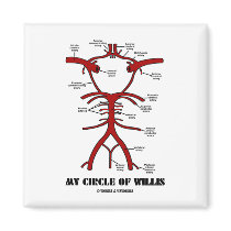 My Circle Of Willis (Arteries Anatomical Humor) Magnet