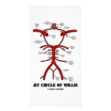 My Circle Of Willis (Arteries Anatomical Humor) Picture Card
