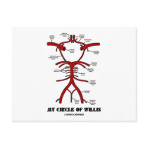 My Circle Of Willis (Arteries Anatomical Humor) Post Card