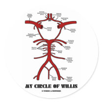 My Circle Of Willis (Arteries Anatomical Humor) Sticker