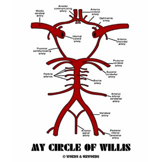 My Circle Of Willis (Arteries Anatomical Humor) shirt
