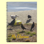 My Classroom notebooks